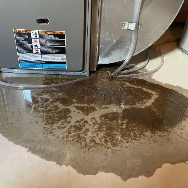 Appliance Leak Cleanup in Georgetown, TX